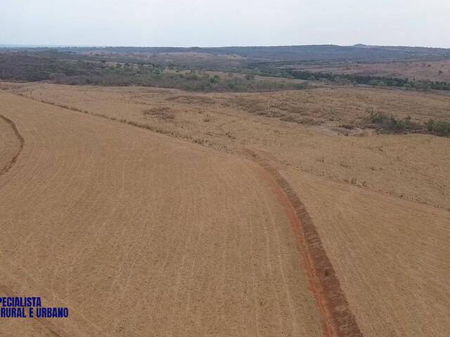 Fazenda para Venda em Montes Claros de Goiás - 4