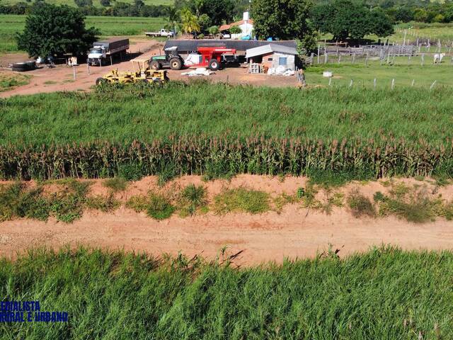 Fazenda para Venda em Montes Claros de Goiás - 5