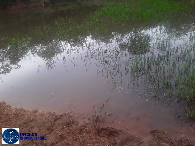 Sítio para Venda em Varjão - 2