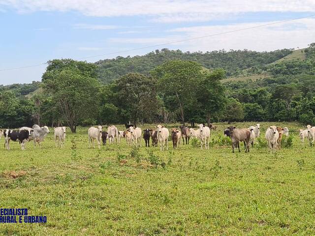 Sítio para Venda em Varjão - 4