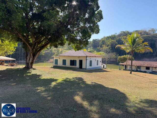 Fazenda para Venda em São Miguel do Passa Quatro - 4