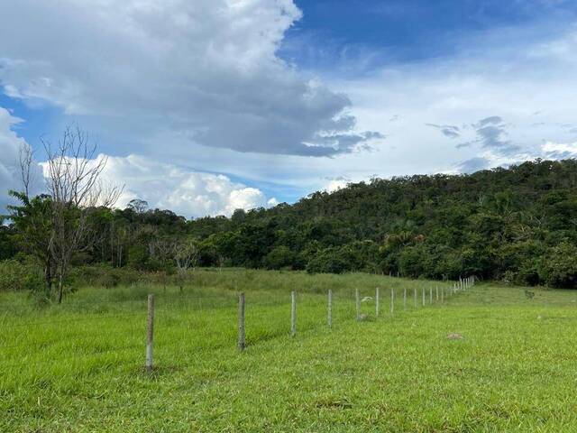 Fazenda para Venda em Itapuranga - 2