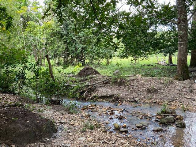 Fazenda para Venda em Itapuranga - 5