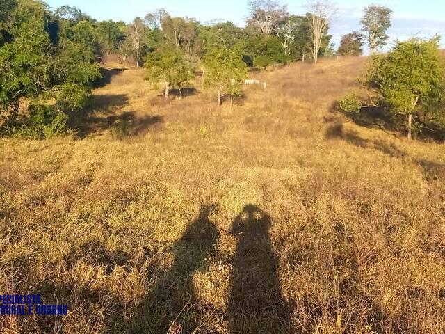 Fazenda para Venda em Itaberaí - 2