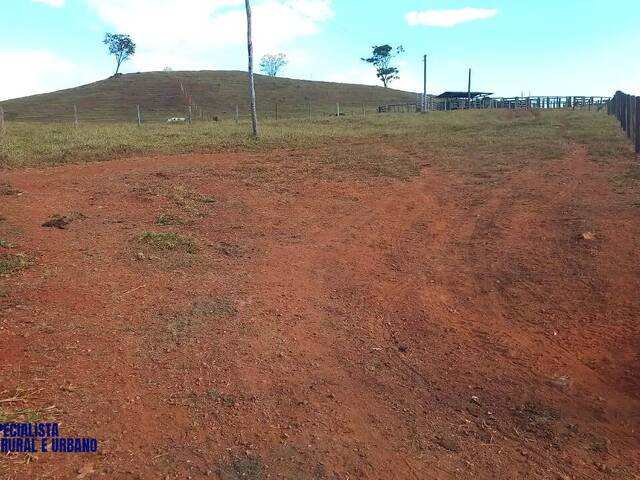 Fazenda para Venda em Itaberaí - 3