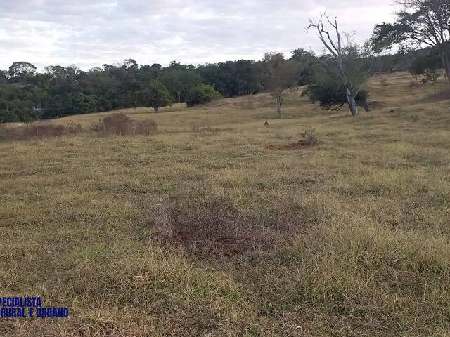 Fazenda para Venda em Itaberaí - 4