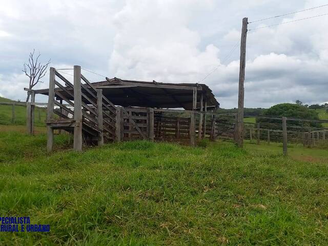 Fazenda para Venda em Itaberaí - 5