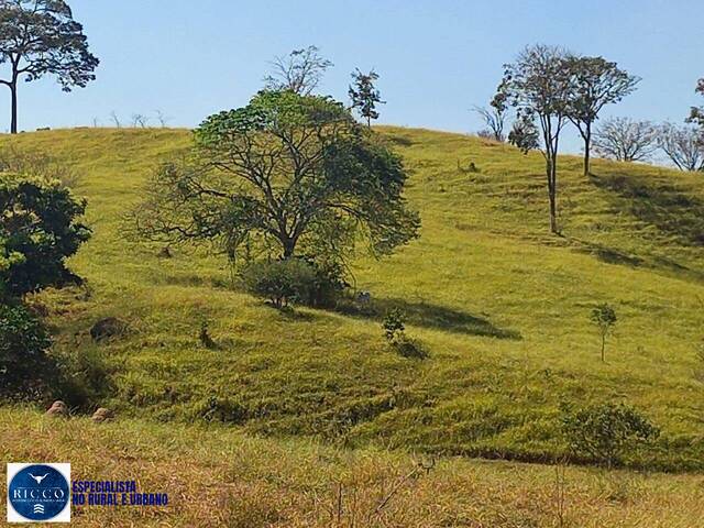 Fazenda para Venda em Itaberaí - 3