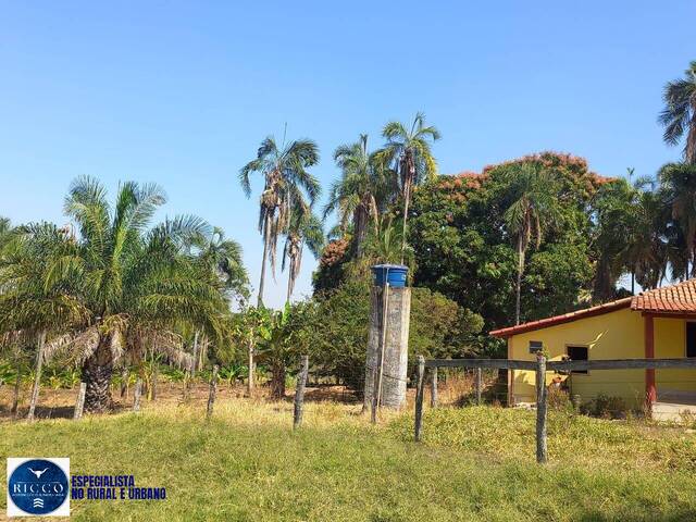 Fazenda para Venda em Itaberaí - 4