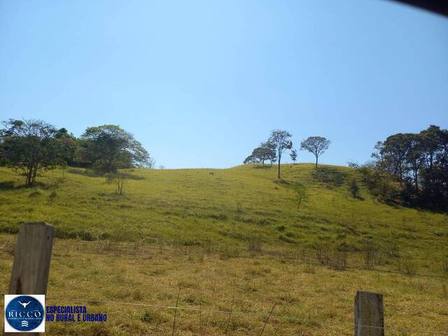 Fazenda para Venda em Itaberaí - 5