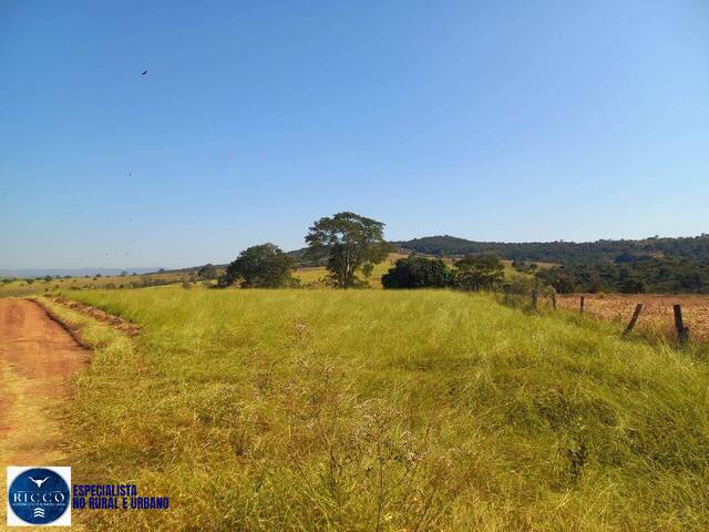 Venda em Vila Progresso - Itaberaí