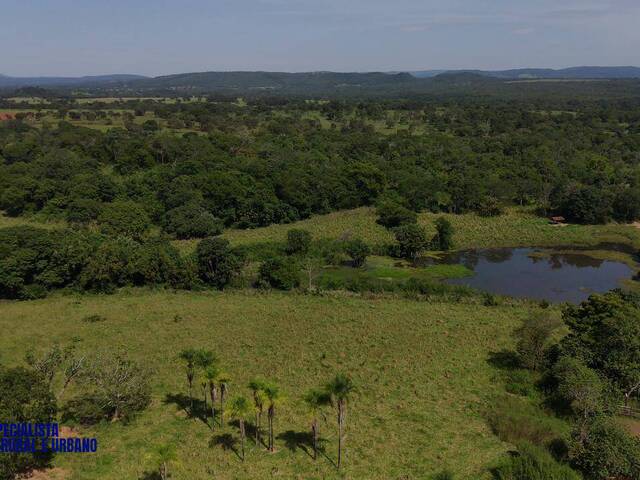 Fazenda para Venda em Israelândia - 3