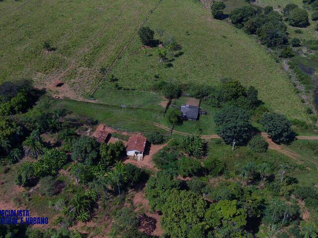 Fazenda para Venda em Israelândia - 4