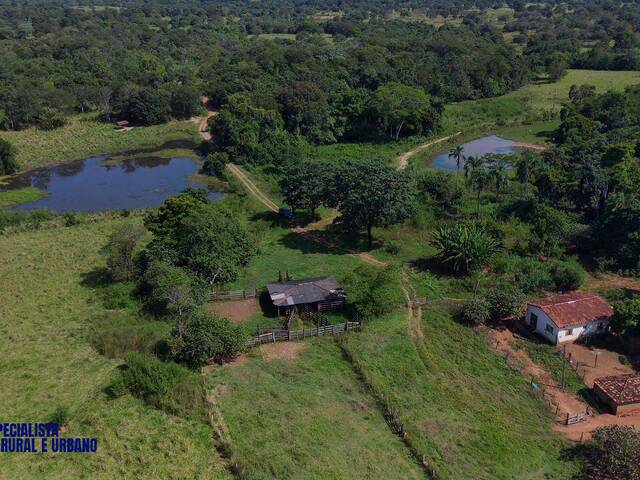 Fazenda para Venda em Israelândia - 5