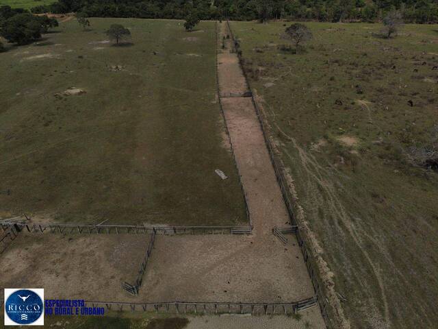 Fazenda para Venda em Nova Crixás - 2