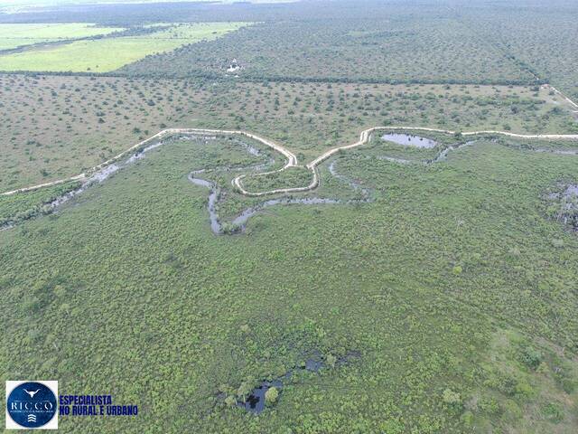 Fazenda para Venda em Nova Crixás - 4