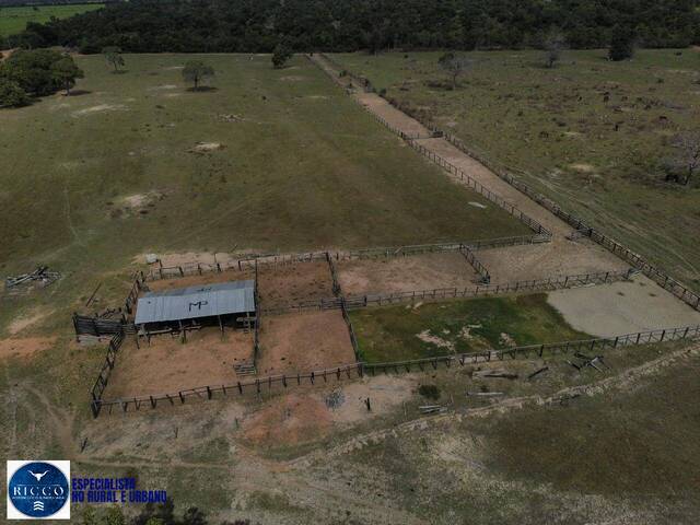 Fazenda para Venda em Nova Crixás - 3