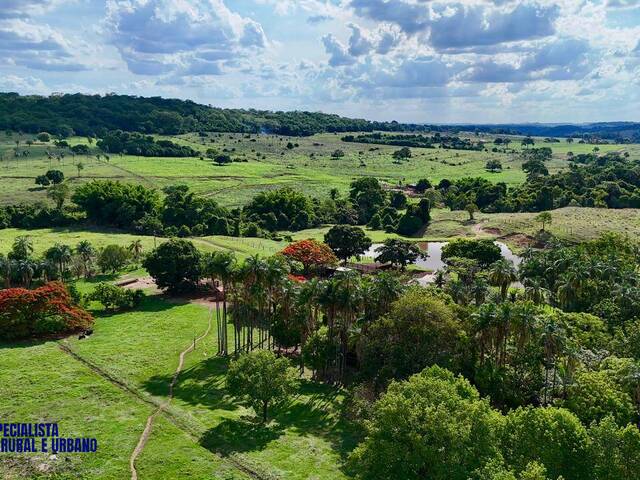 Fazenda para Venda em Piracanjuba - 3