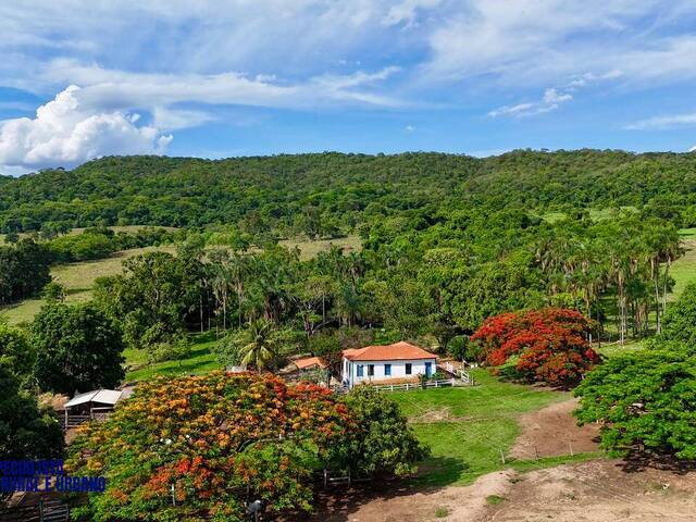 Fazenda para Venda em Piracanjuba - 5