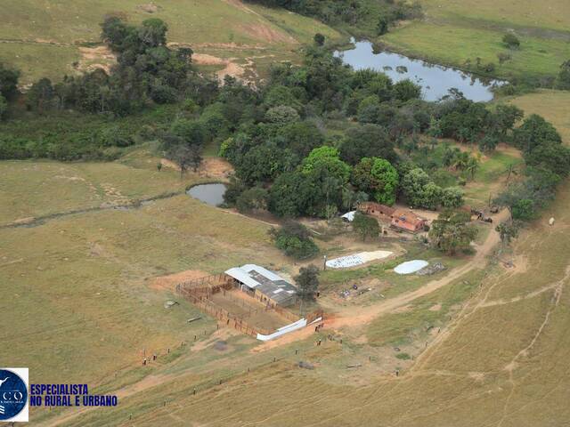 #4444 - Fazenda para Venda em São Francisco de Goiás - GO