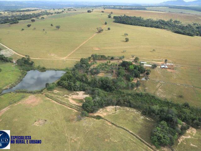 #4444 - Fazenda para Venda em São Francisco de Goiás - GO