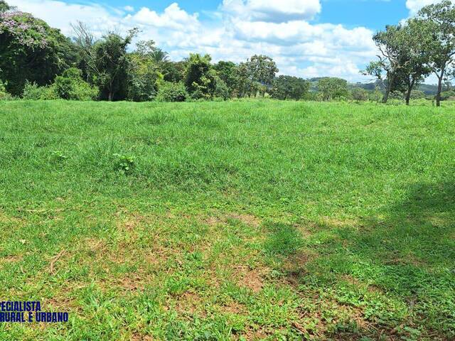 Fazenda para Venda em Alexânia - 2