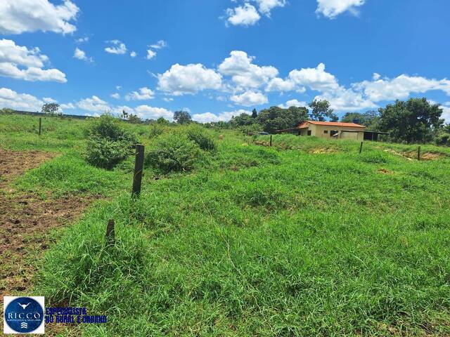 Fazenda para Venda em Alexânia - 3