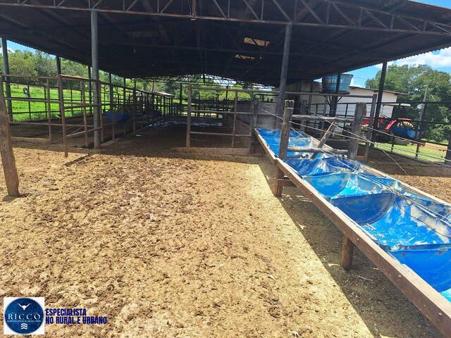 Fazenda para Venda em Alexânia - 5