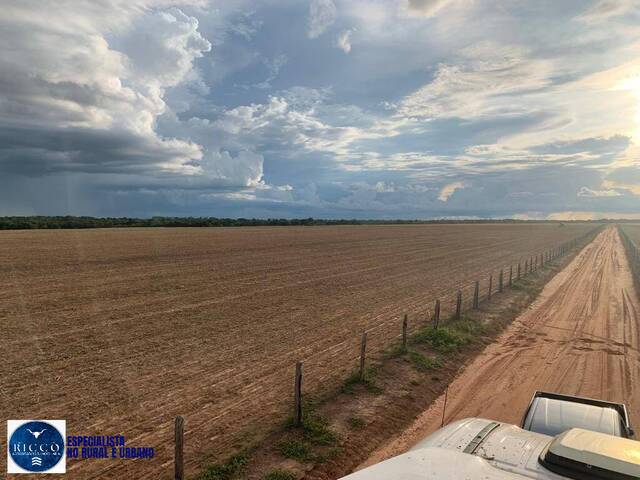 Fazenda para Venda em Talismã - 2