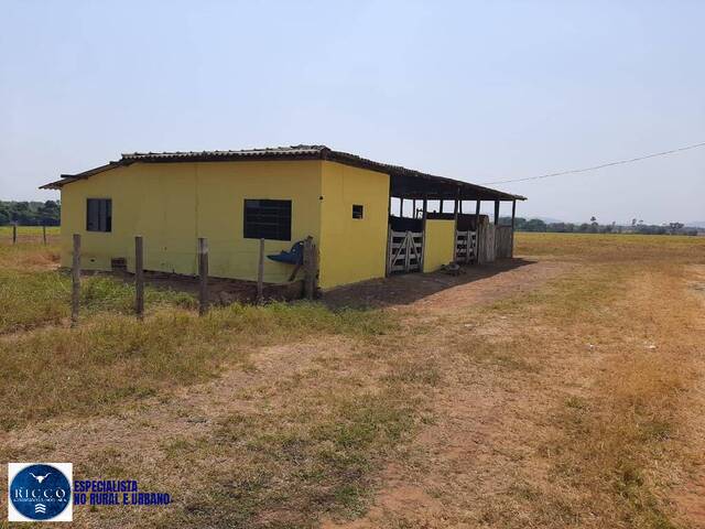 Fazenda para Venda em Talismã - 3