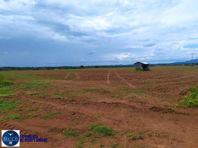 Fazenda para Venda em Talismã - 4