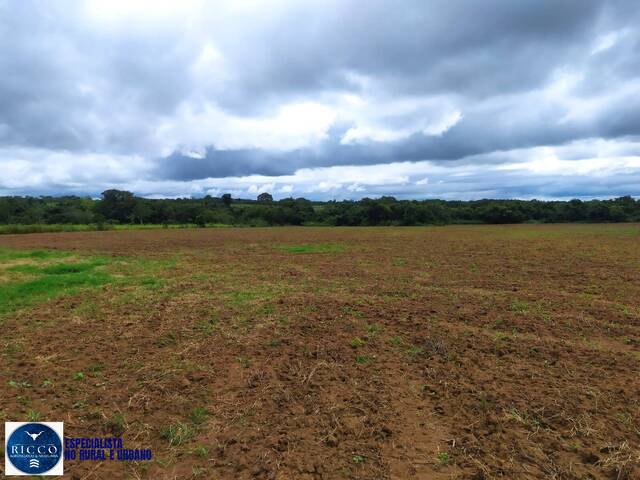 Fazenda para Venda em Talismã - 5