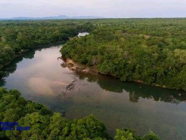 #4447 - Fazenda para Venda em Natividade - TO