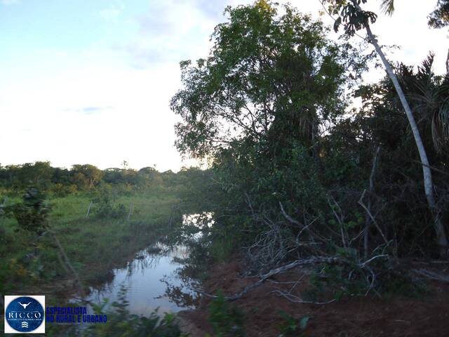 Fazenda para Venda em Gurupi - 2
