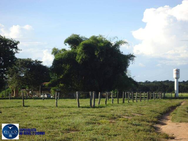 Fazenda para Venda em Gurupi - 3