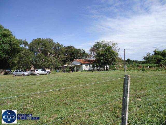 Fazenda para Venda em Gurupi - 4