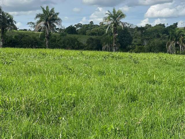 #4460 - Sítio para Venda em Nazário - GO