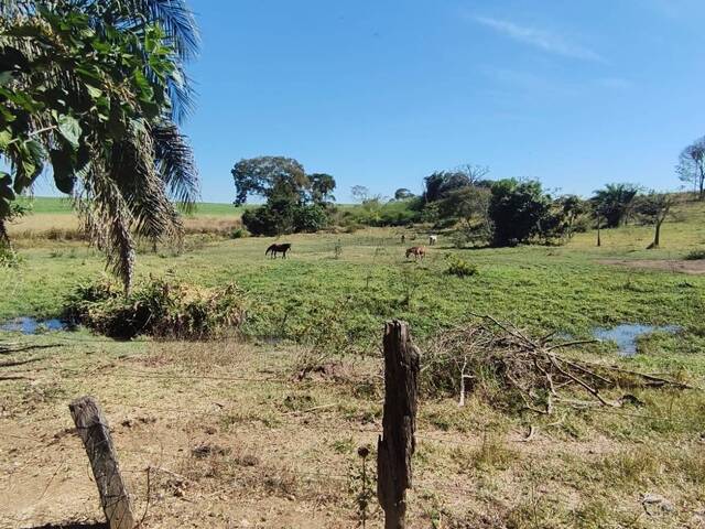 Sítio para Venda em Nazário - 5