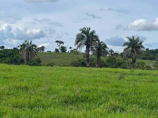Chácara para Venda em São Luís de Montes Belos - 4