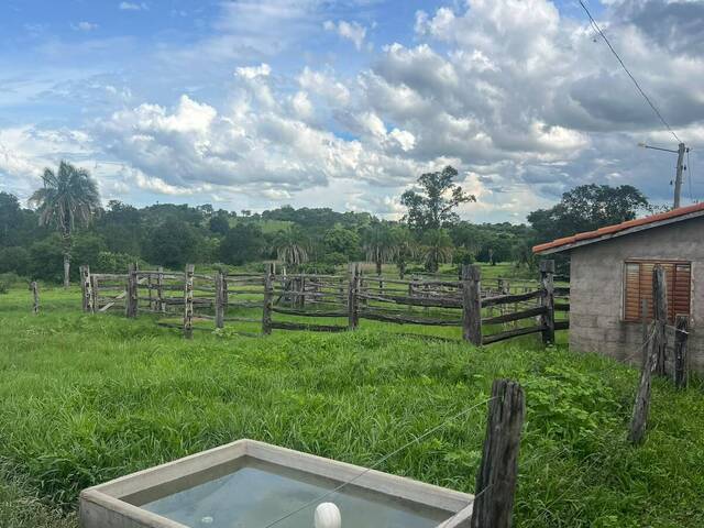 Chácara para Venda em São Luís de Montes Belos - 5