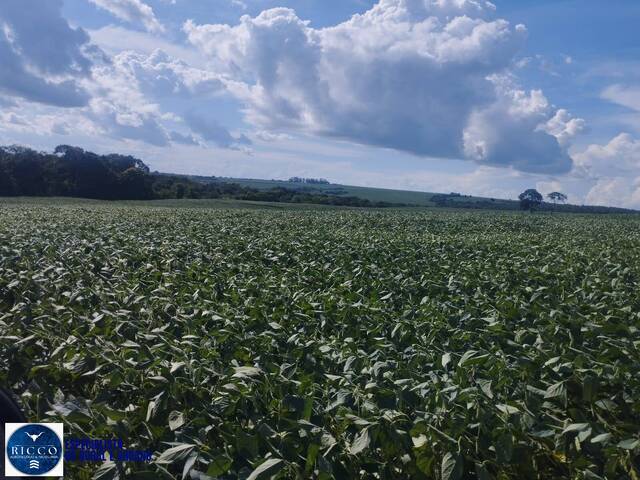 #4463 - Fazenda para Venda em Bom Jardim de Goiás - GO
