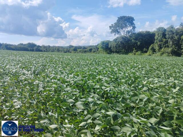 Fazenda para Venda em Bom Jardim de Goiás - 4