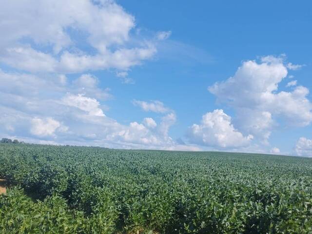 #4463 - Fazenda para Venda em Bom Jardim de Goiás - GO