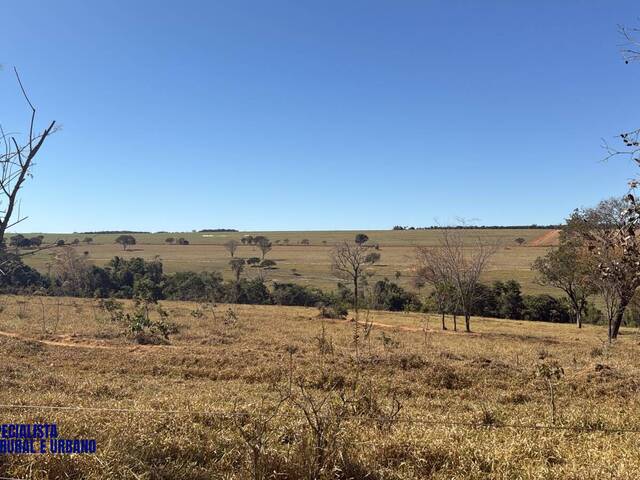 #4464 - Fazenda para Venda em Morrinhos - GO