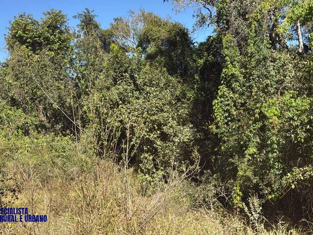 Fazenda para Venda em Morrinhos - 4