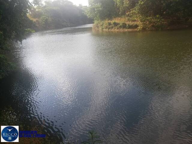 Fazenda para Venda em Arinos - 5
