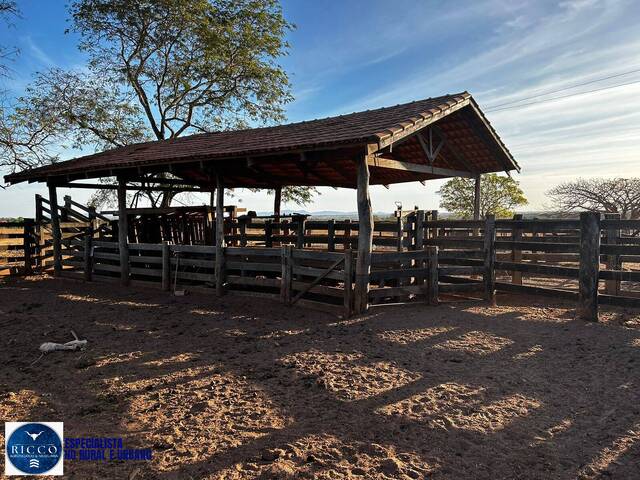 Fazenda para Venda em Porangatu - 5