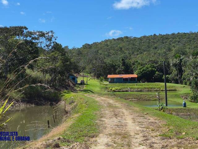 Chácara para Venda em Goianésia - 5