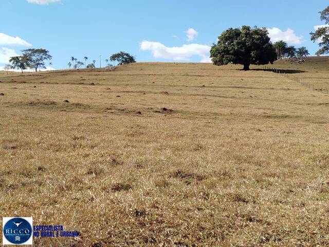 Chácara para Venda em Itauçu - 3