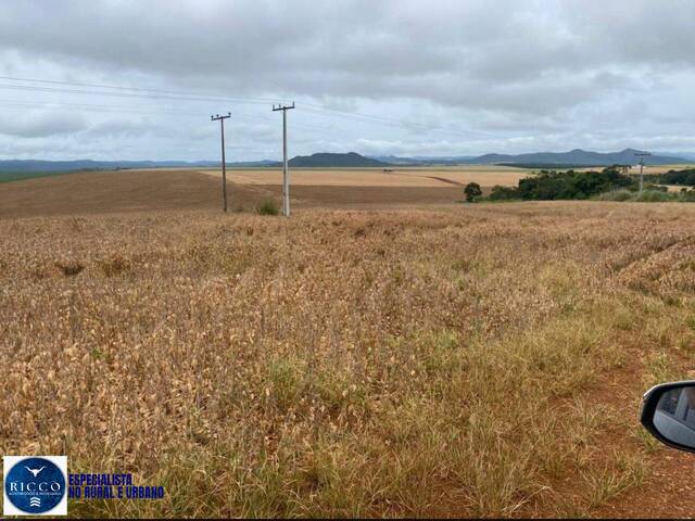 Fazenda para Venda em Planaltina - 4